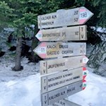 Die Wanderung zur Kalcheralm ist mit 0:40 h ausgeschildert