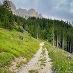 Von der Frommer Alm führt ein sanfter Wanderweg zur nahen Heinzenalm