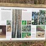 Längs des Apfelweges gewähren Infotafeln interessante Einblicke in die hiesige Naturlandschaft 