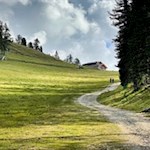 Nur mehr wenige hundert Meter zur Epircher Laner Alm