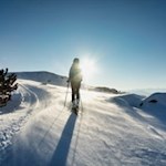 Im-Schein-der-milden-Wintersonne-auf-das-Rittner-Horn