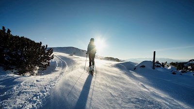 Im Schein der milden Wintersonne auf das Rittner Horn 