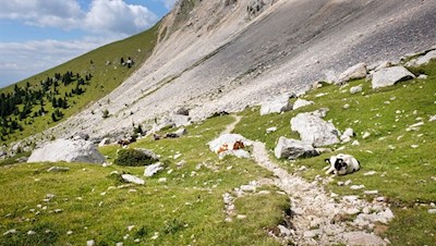Auf steinbeschlagenen Wiesenwegen zur Latemarhütte