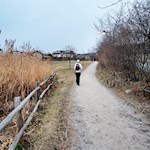 Auf dem Rückweg nach Völs