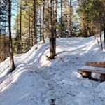 Im angenehmen Anstieg durch den Wald zur Kirche St. Jakob