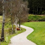 Die Große Schlossrunde führt durch sanfte Wiesen und Wälder