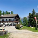 Von-der-Kiener-Alm-auf-den-Gitsch