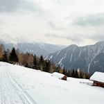 Hinter der Waldgrenze eröffnen sich traumverlorene Ausblicke