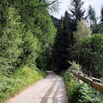 Der breite, sanft ansteigende Weg kann auch mit dem Kinderwagen erwandert werden