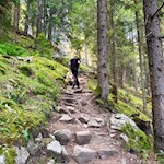 Auf dem steilen Steig Nr. 3 zur Bergeralm