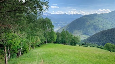 Durch Wiesen zum Panoramakino Spiluck