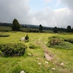 Über die sanft gewellten Almwiesen auf das Rittner Horn