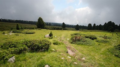 Über die sanft gewellten Almwiesen auf das Rittner Horn