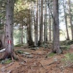 Die Wanderung auf die Platte und den Sambock ist gut markiert