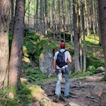 Durch den Wald zur Schafstallhütte