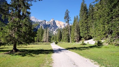 Auf dem Weg Nr. 4 zur Rossalm