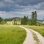 Durch idyllische Wiesen zur Heinzenalm