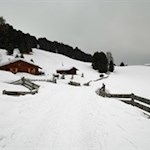 Der Winterwanderweg zur Halslhütte führt an verstreuten Almhütten vorbei