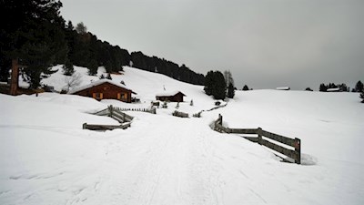 Der Winterwanderweg zur Halslhütte führt an verstreuten Almhütten vorbei