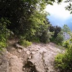 Abfahrt vom Monte Brione mit dem MTB 