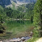 Mitten im Wald liegt der idyllische Puntleider See