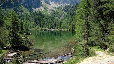 Mitten im Wald liegt der idyllische Puntleider See