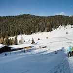 Die Taistner Alm im Winterkleid