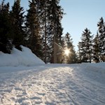 Aufstieg zur Gampenalm