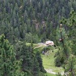 Vom Schlern zurück zur Sesselschwaige