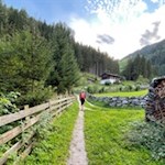 Der Weg Nr. 5A führt den Waldrand entlang