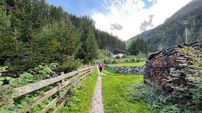 Der Weg Nr. 5A führt den Waldrand entlang