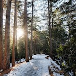 Der Rückweg nach St. Ulrich erfolgt auf dem Hinweg