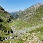 Die junge Ahr ergießt sich über die sattgrünen Almböden