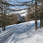 Winterwanderung zur Hühnerspiehütte