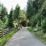 Auf breiten Wegen in Richtung Zirmaitalm