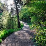 Die sanften Wege eignen sich bestens für Ausflüge mit der ganzen Familie