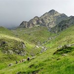 Die abgeschiedene Pflerer Bergwelt