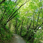 Karlspromenade Brixen