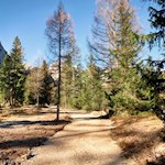 Auf zunächst sanften Wegen in Richtung Grünwaldalm