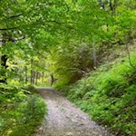 Auf breiten Wegen nach St. Jakob