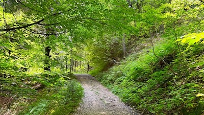 Auf breiten Wegen nach St. Jakob