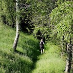 Unser Weg führt uns zunächst durch idyllische Wiesen