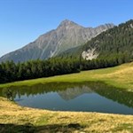 Malerisch spiegeln sich die Amthorspitze und die umliegenden Bäume in der Hatzlacke