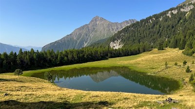 Malerisch spiegeln sich die Amthorspitze und die umliegenden Bäume in der Hatzlacke