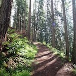 Im steten Anstieg zur Wollbachalm