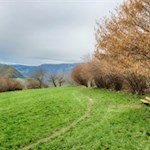Sanft zieht sich der Poststeig durch Wiesen und Haine nach St. Peter