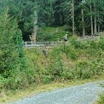 Il sentiero per i Laghi Ghiacciati attraversa dei boschi per lunghi tratti 