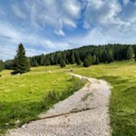 Der sanfte Wanderweg eignet sich auch für Ausflüge mit Kindern