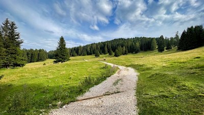 Der sanfte Wanderweg eignet sich auch für Ausflüge mit Kindern