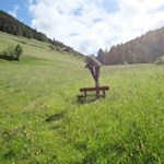 Vom Bergweiler Tesselberg folgt man zunächst dem schmalen Wiesenpfad